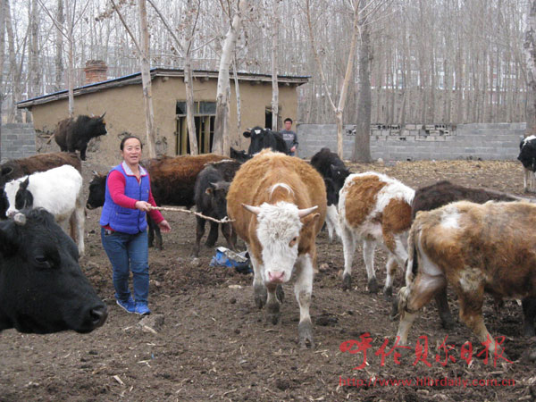 阿榮旗全力打造呼倫貝爾肉業基地核心區